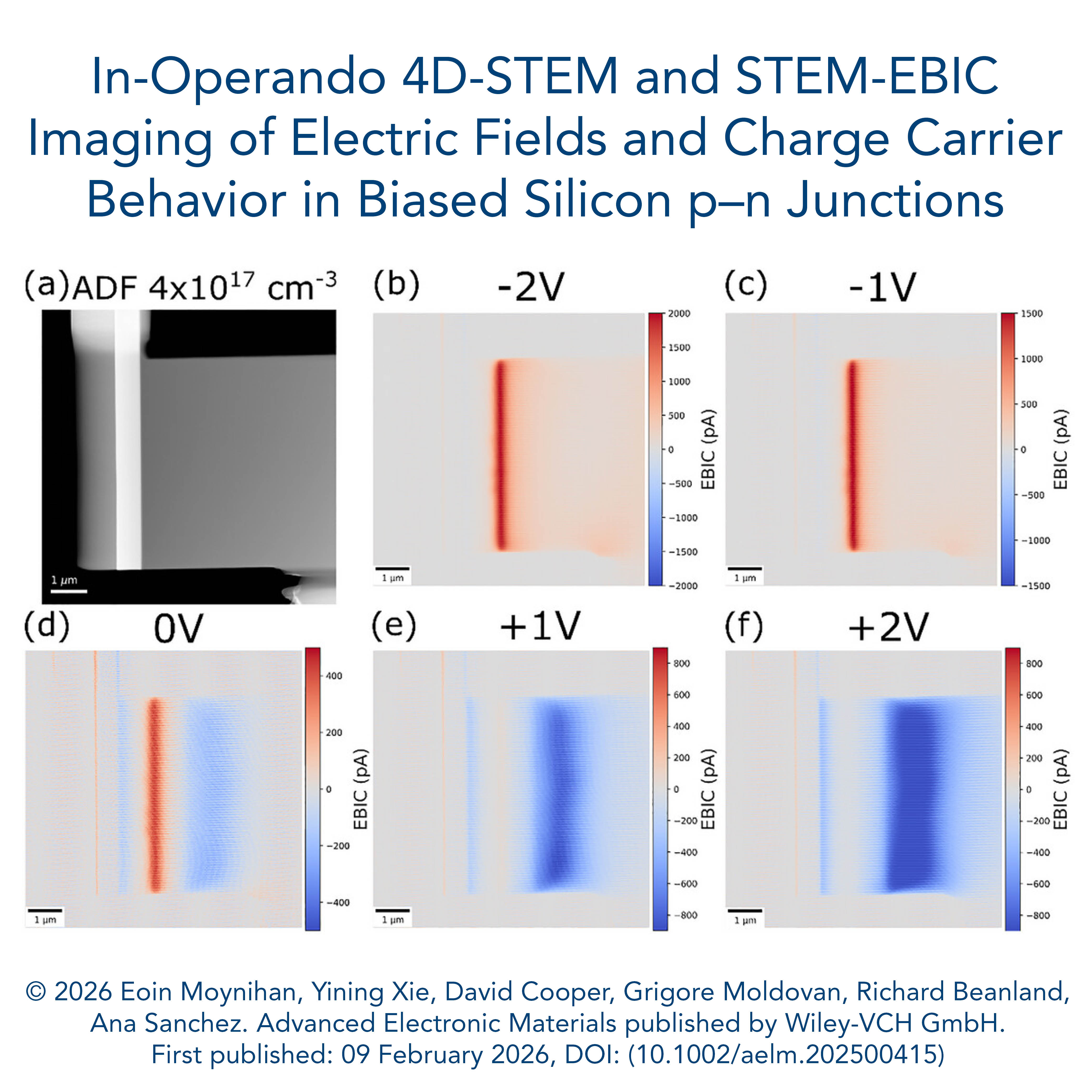 ADF image of 4 × 1017 doped Si p–n junction sample used for biasing experiments (b–f) EBIC under different applied biases from −2 to +2 V. The bottom electrode connected to the psub side of the sample was held at 0 V (to avoid noise in the readout equipment connected at this side) while the top electrode voltage was varied. The sign convention used in this work was chosen so that the reverse bias condition of the p–n junction. refers to a negative bias voltage, i.e., the p-side is at a lower voltage than the n-side). (This figure was acquired using C STEM mode, convergence semi-angle = 23.5 mrad).